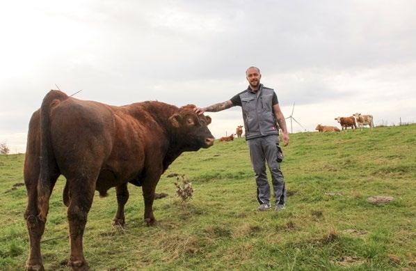 21 Landwirtschaftlicher Familienbetrieb Axthelm Vom Hofladen sind es nur ein paar Meter bis zu der Weide hinterm Haus, auf der die Rinder grasen.