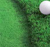 golfrasenmischungen für greens SG 72 Greenmischung SG 73 Schwarzenberger Greenmischung 1.250.03 1.250.00 4.1 V3 30 gr.
