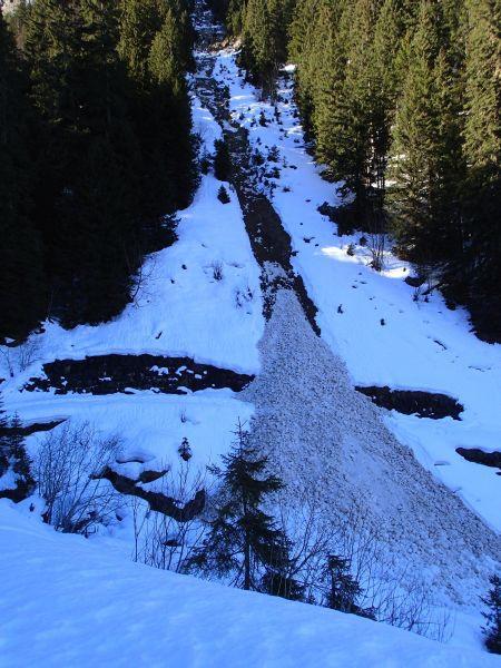 Kleine Nassschneelawine in einer Waldschneise bei Isenfluh (1162 m, Lauterbrunnen, BE), verursacht