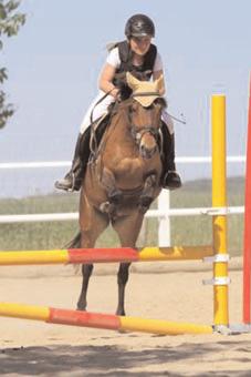 ai auf dem Reitplatz leinbardau direkt an der Staatsstraße 11 zwischen Großbardau und leinbardau statt. Von 11.00 bis ca. 16.