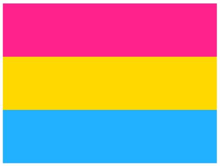 2.4 Pan-Flagge Pansexuelle Menschen fühlen sich sexuell und/oder romantisch zu allen Geschlechtern hingezogen. D. h., hier werden explizit andere Geschlechter außer männlich/weiblich eingeschlossen, also z.