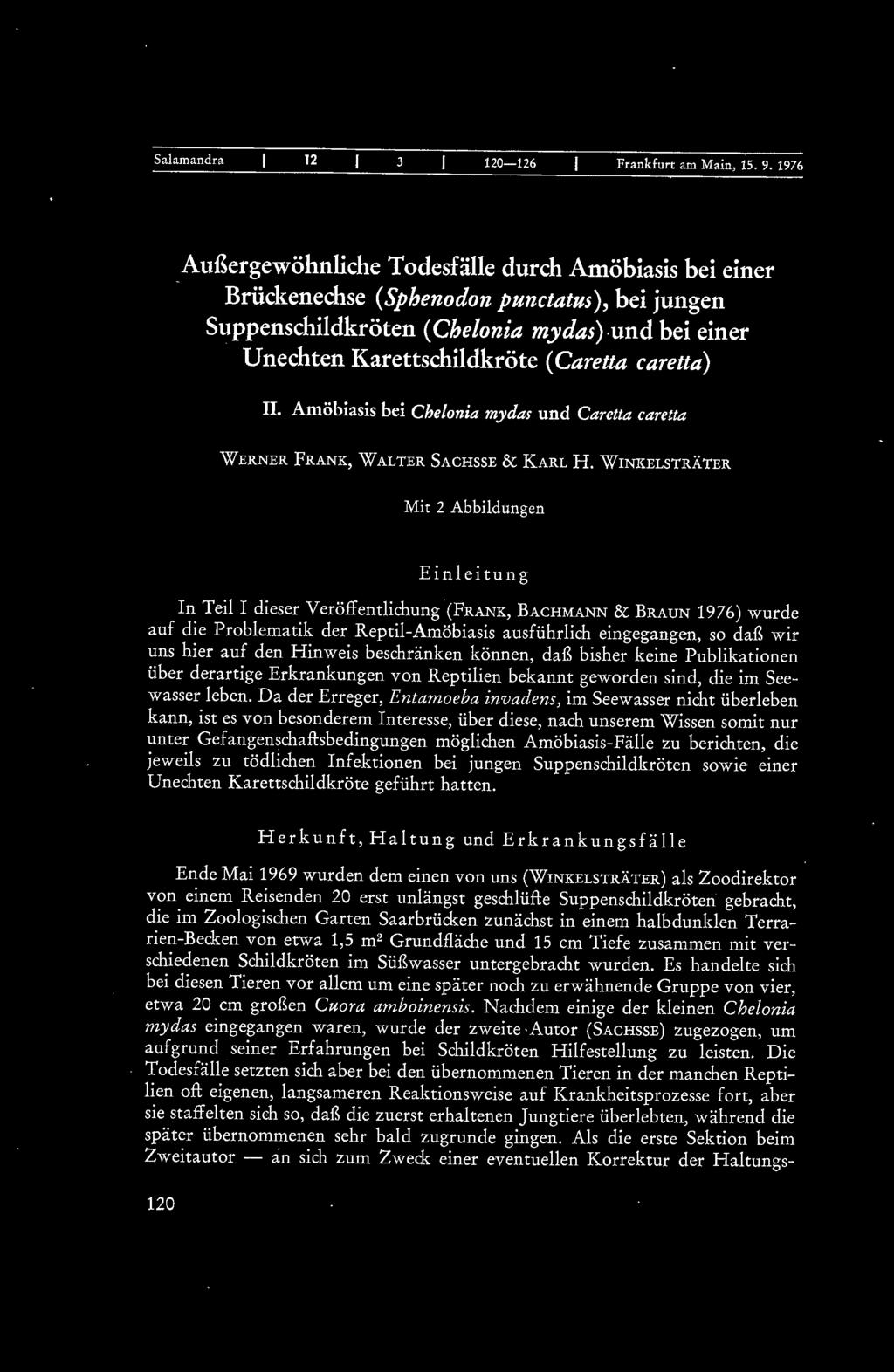caretta) II. Amöbiasis bei Chelonia mydas und Caretta caretta WERNER FRANK, WALTER SACHSSE & KARL H.
