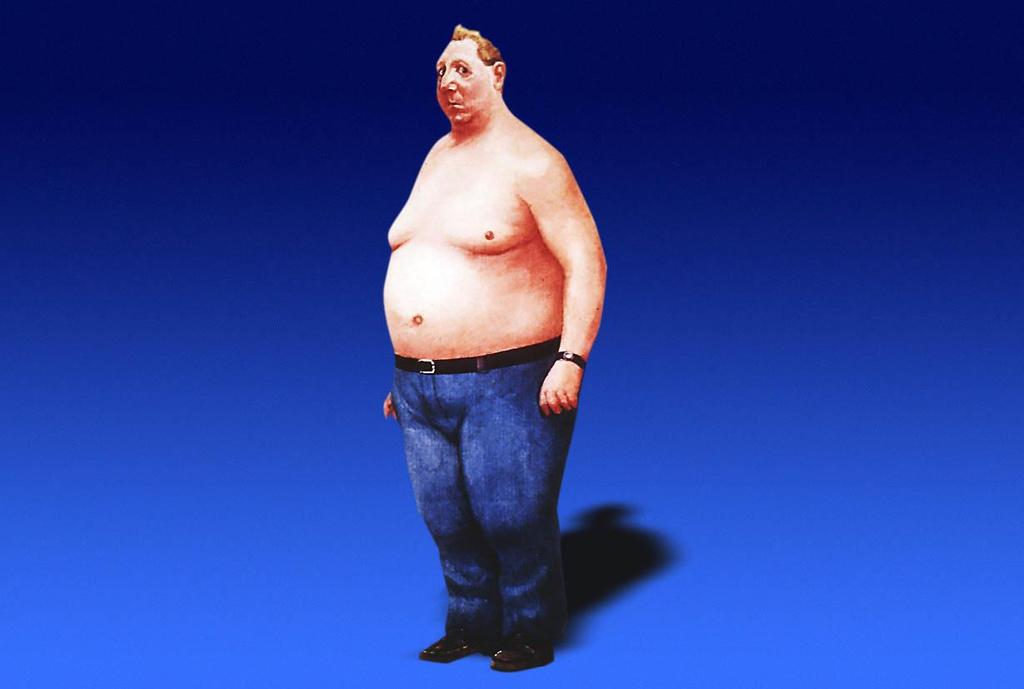 Österreichischer Ernährungsbericht 2012: Jeder zweite Mann ist übergewichtig oder adipös! Übergewicht: BMI 25.0 29.