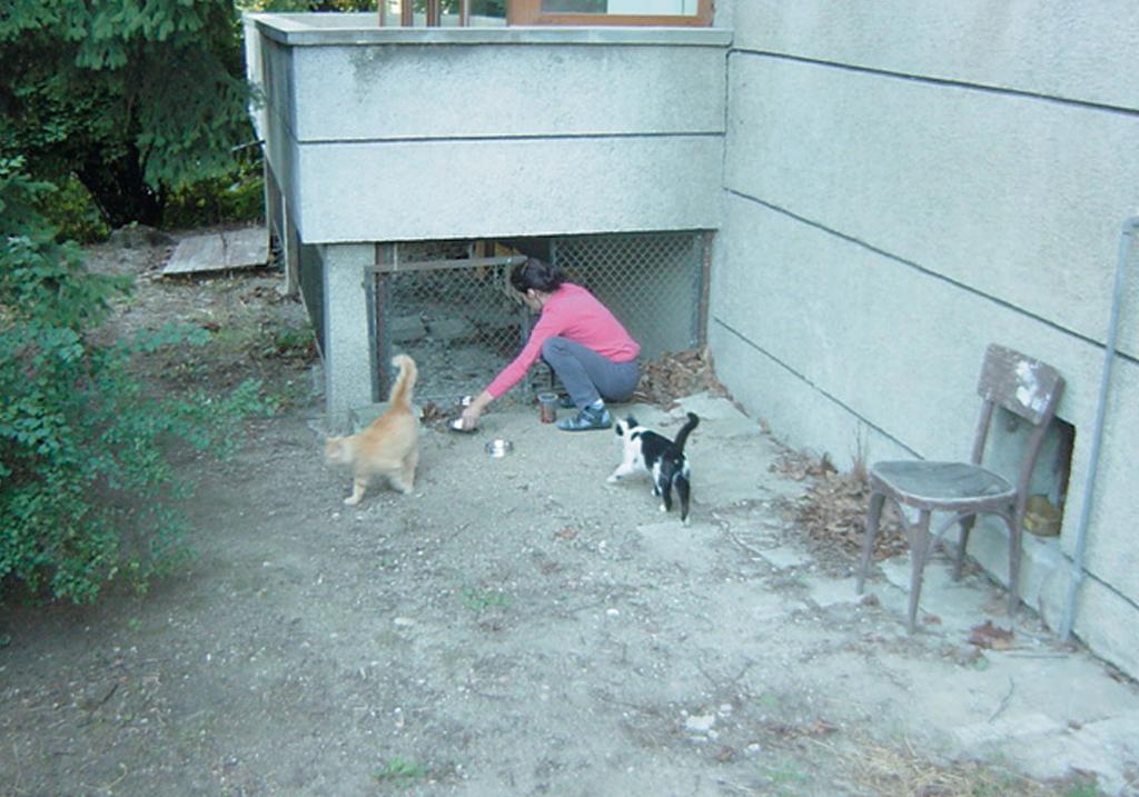 Bulgarien Stadt Sofia Frau Herfort zeigt uns einen Hinterhof in Sofia, wo sie herrenlose Katzen füttert.