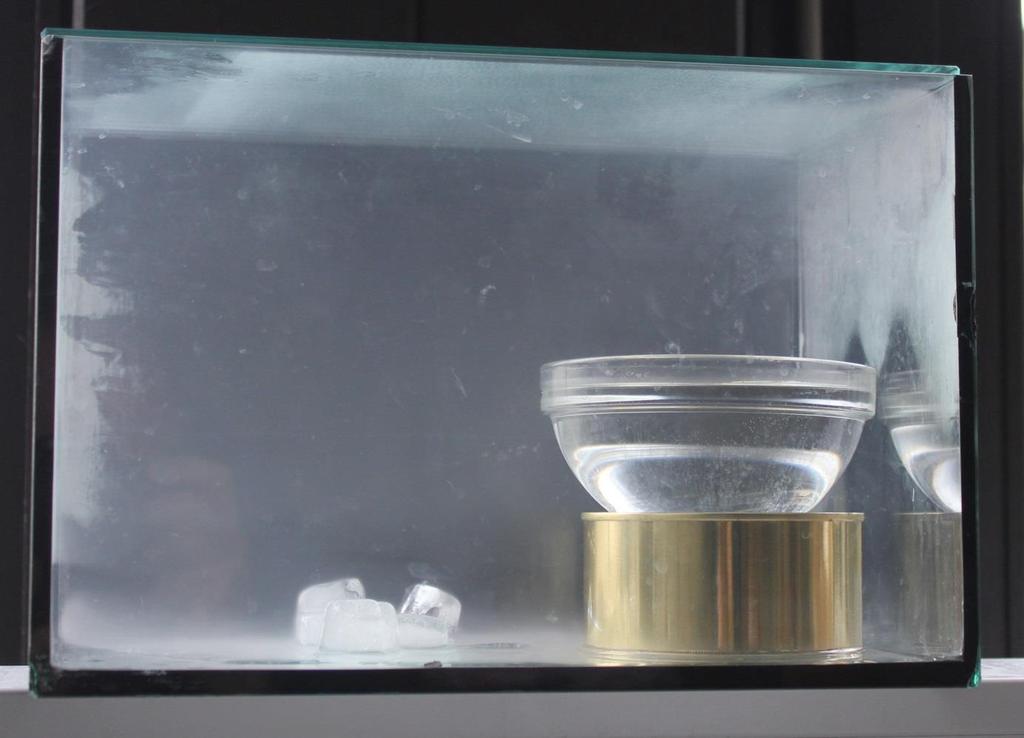 (Boden)Nebel im Aquarium Etwas erhöht aufgestellt: Eine Schale mit warmem Wasser. Die Luft im Glasbecken wurde mit wenigen (!) Rauchpartikeln angereichert (Kondensationskerne).