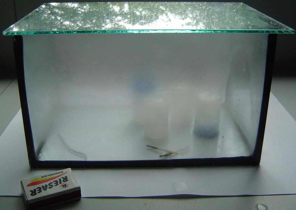 Wenn die Eiswürfel schmelzen bilden sie "See" der die Luftfeuchte im Glas erhöht. Das führt schnell zum Beschlagen der Scheiben.