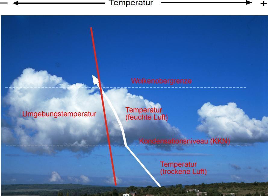 Wie hoch steigen Wolken auf? Die Lufttemperatur in der Atmosphäre nimmt mit der Höhe ab. Wenn Luft am Boden erwärmt wird, steigt sie wie ein Heißluftballon auf.