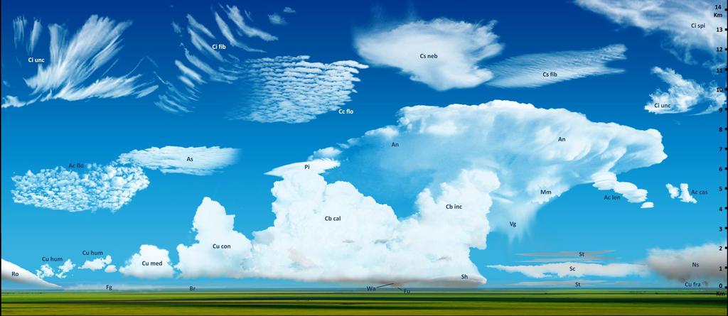Grafik WIKIPEDIA: Clouds Atlas, Claudio Cicolella Wolken kündigen das Wetter an "Schönwetterwolken" (Cumulus humilis), oder "Gewitterwolken" (Cumulonimbus), hohe "Zirruswolken" (Cirrus) oder langsam