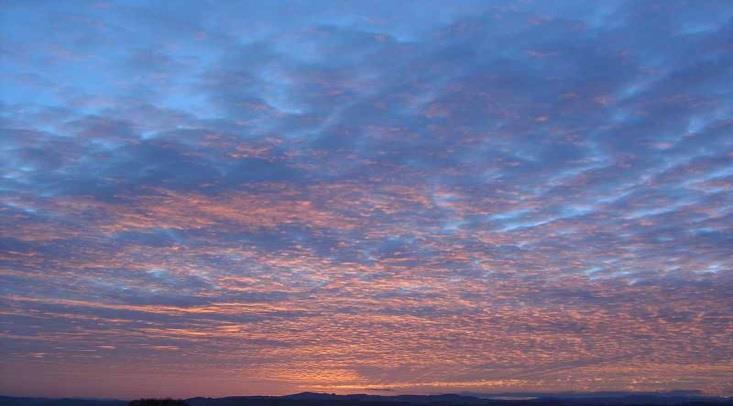 Sonne hindurchscheinen (translucidus), Einzelwolken sich kaum verändernd ALTOCUMULUS CUMULOGENTUS (Ac Cbgen) C M 6 Bänke von