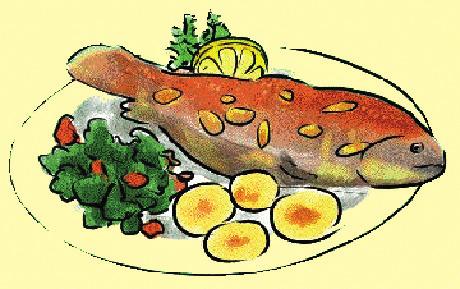 Fischgerichte Seelachsfilet, gebacken mit Remoulade, Kartoffelsalat und Salatteller 9,90 Schollenfilet, gebacken mit