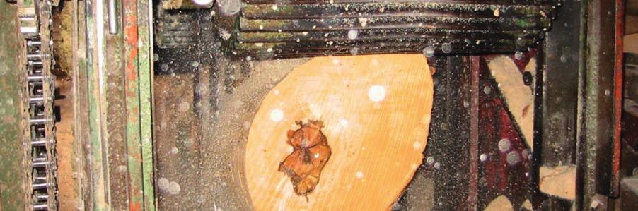 ENERGIEHOLZ Kostengünstig und umweltfreundlich heizen mit Michelholz: Energieholz 100% Hartholz Unser erstklassiges Brenn- und Kaminholz fällt zwangsläufig bei der Herstellung unserer