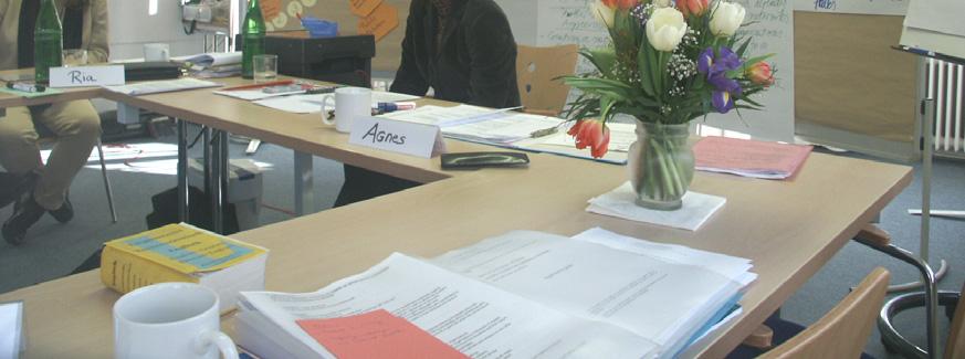 Agnes Büchele im Rahmen des EU-Projektes Gesundheitliche Folgen von häuslicher