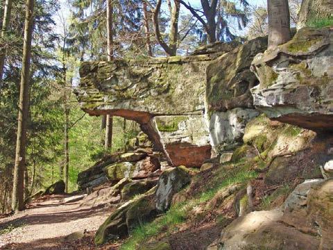 Naturdenkmäler Naturdenkmäler sind geschützte und festgesetzte Einzelobjekte der Landschaft und Natur wie beispielsweise ein bemerkenswerter Baum oder ein Felsen.