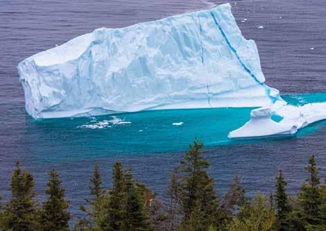 öffentlich Kanada NEUFUNDLAND Vor Neufundland treffen der kalte Labradorund der warme Golfstrom aufeinander und schaffen einen vielfältigen maritimen Lebensraum: Tausende Wale kommen auf ihren