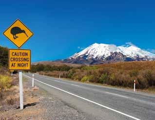 Zwischen den Metropolen Auckland und Wellington erwarten dich tropische Strände, saftig grüne Hügel, majestätische Vulkane, beeindruckende Maori-