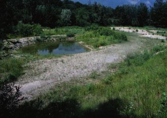 SSVG-Ökologische Aufwertung zwischen Büchel und Haag/SG 1999-2003 Massnahmen 1-6 auf Boden