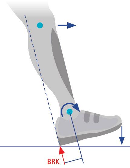 Glossar Extrinsische Fußmuskulatur (lat. extrinsecus = von außen her): Klinisch unterscheidet man zwischen extrinsischer und intrinsischer Fußmuskulatur.