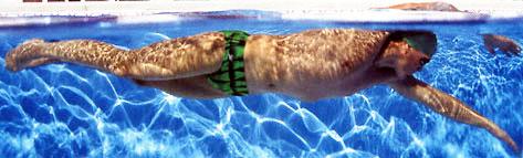 Denk an einen Baumstamm im Wasser: Mit den kräftigen Rumpfmuskeln leitest du die Drehung auf die rechte Seite ein, wenn Du mit der rechten Hand eintauchst - mit dem linken Arm beginnst Du zu zeihen.