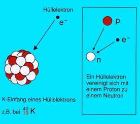 K-Elektrons bei protonenreichen Kernes - Umwandlung