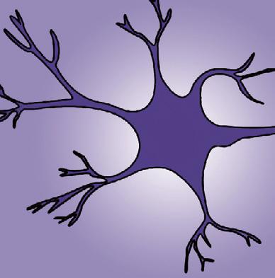 Wahrscheinlichkeitstheorie Projekt 5 ThemaThema Der Zufall im Gehirn Das menschliche Gehirn umfasst circa 100 Milliarden Neuronen (Nervenzellen), die mittels elektrischer Impulse (Spikes) miteinander