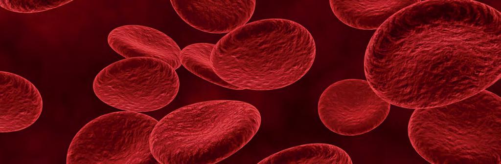 Mitteilungen der Kammer Umsetzung der Richtlinie Hämotherapie in Sachsen-Anhalt Durch die Richtlinie zur Gewinnung von Blut und Blutbestandteilen und zur Anwendung von Blutprodukten (Richtlinie