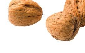 Nüsse und Samen Maroni 90 0,1 Erdnüsse, geröstet 25 0,1 Haselnüsse 25 0,3 Mandeln 25 0,3 Leinsamen 20 0,4 Kürbiskerne 20