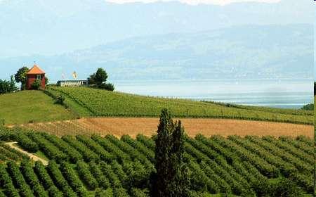 Erhalt und Pflege der Kulturlandschaften Landschaften in Weinanbaugebieten
