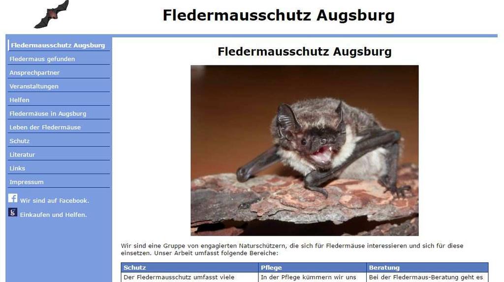 Seit Mitte kann man Interessantes über Fledermäuse in Augsburg auf der neuen Homepage www.fledermausschutz-augsburg.de finden.