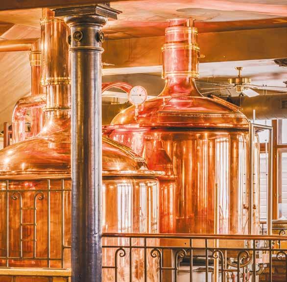 der einzigen Brauerei am Bodensee durch die Produktion und erklärt die Prozesse beim Bierbrauen. vhs-landkreis-konstanz.