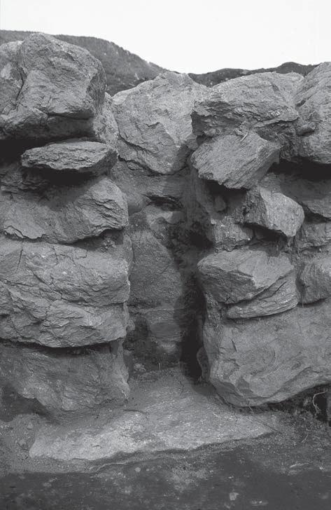 17 Der Lehmboden im Inneren wies ein leichtes Gefälle auf und lief, von Norden nach Süden, etwas abfallend in Richtung des Wohnbaues. Ein großer Schwellstein bildete die Grenze zum Innenraum.