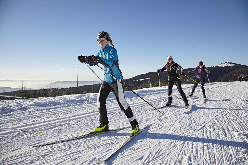 Tag 3 (Dienstag, 16.1.2018): Nach dem Frühstück geht s wie gewohnt um 9:00 Uhr bis ca. 12:00 Uhr auf die Ski. Heute geht es darum die einzelnen Gänge eines Skilangläufers näher kennen zu lernen.