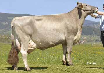 Unterlamm. Diese Kuh rangiert bei den Erstlingskühen mit 963 Fett/Eiweiß kg an erster Stelle.