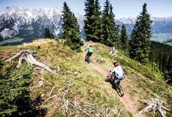 After taking the cable car to the start of the bike park, each and every biker can experience the special spirit and indescribable nature of this region, while at the same time being able to choose