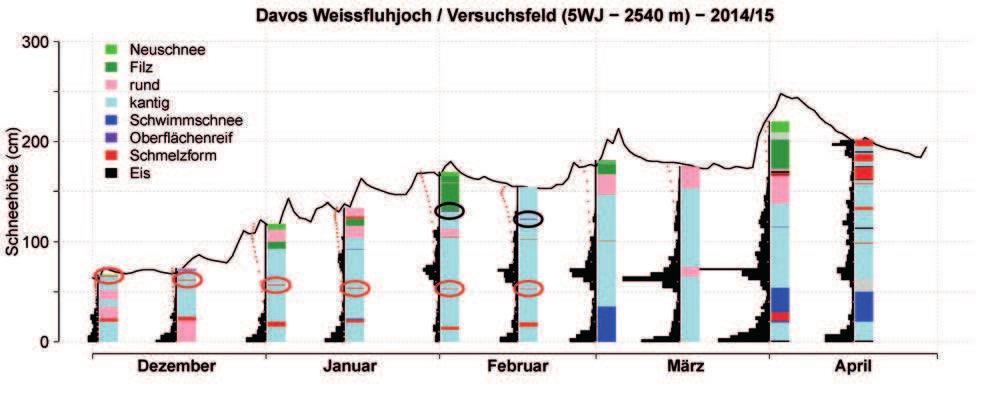 Abbildung 16: Schneedeckenentwicklung im Winter 2014/15 an der Station 5WJ, Weissfluhjoch, GR, 2540 m.