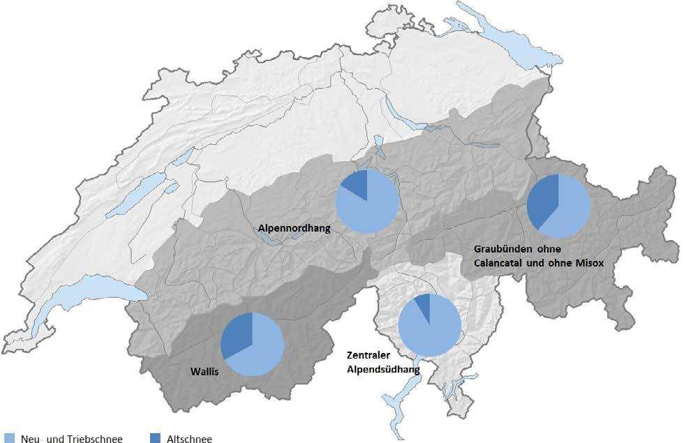 Die Verteilung der Muster war regional sehr unterschiedlich: für die Gefahrenstufe 3 (erheblich) wurde am Alpennordhang und am Alpensüdhang selten das Altschneemuster verwendet, dafür war Neu- und