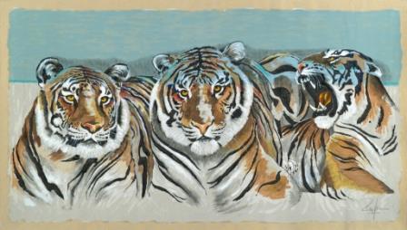 Drei Bengalische Tiger Nr: 129 Jahr: 1998 Auflage: 75