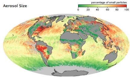 currents; Global vegetation
