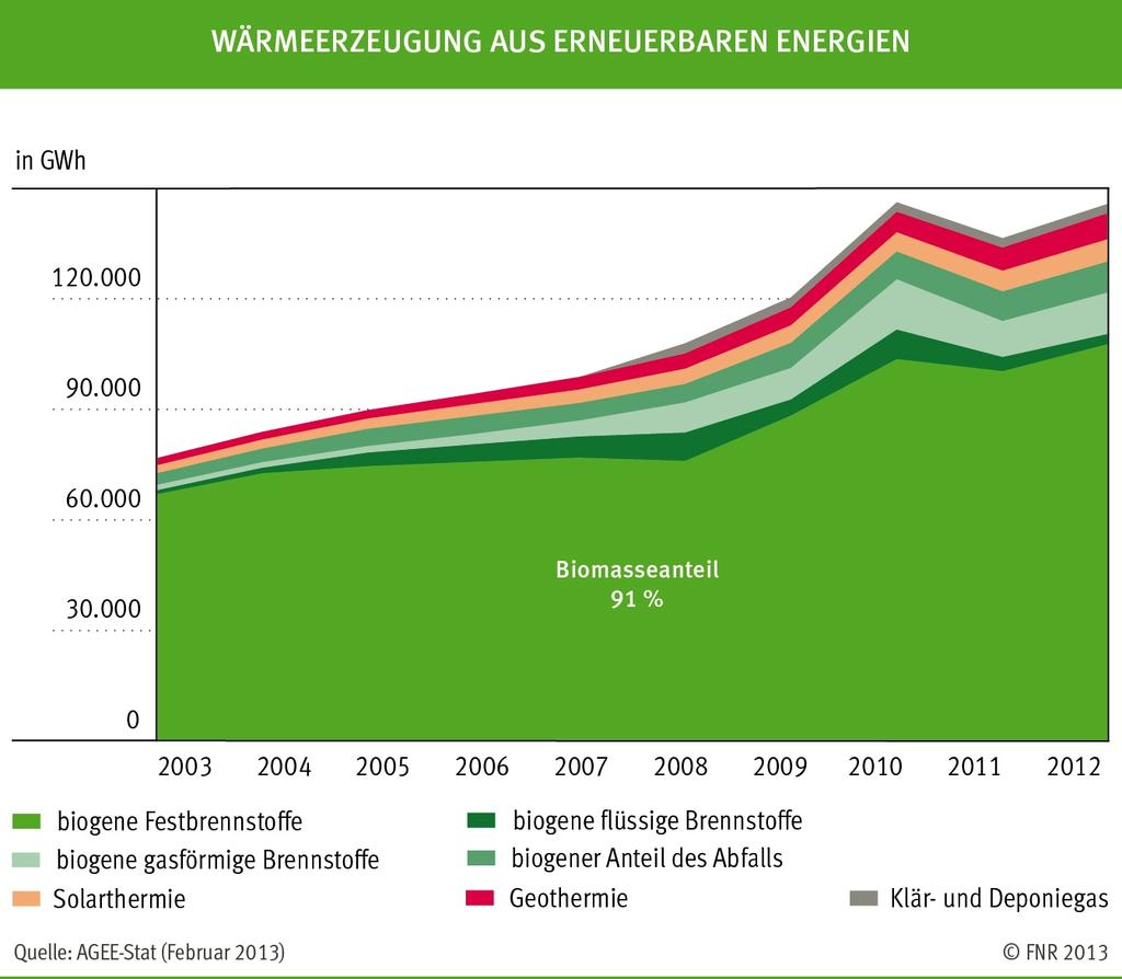 3. Holz im Energiesektor Dr.