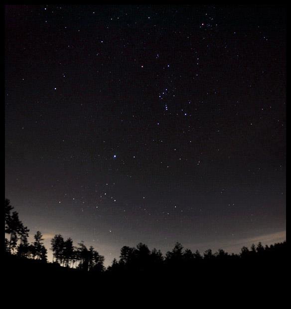 Beteigeuze Procyon Rigel Sirius Sterne im Orion sind