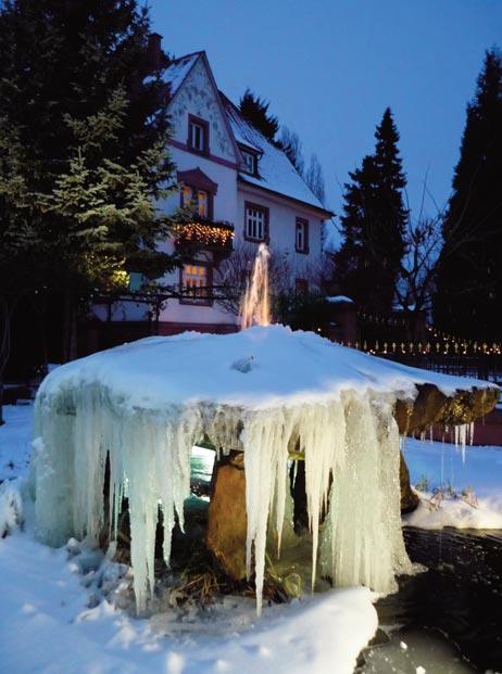 STAATSEHRENPREIS Anfang Dezember 2010, als schon der erste Schnee die Pfalz in ein Winter - märchenland verwandelte, folgten nach dem Bundesehrenpreis in
