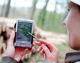 Experte im Bereich der Projektierung von Infrastruktur Maßnahmen im Wald und