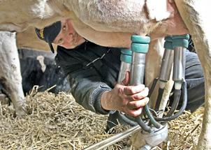 Der Milcherzeuger bewirtschaftet mit seiner Frau Iris und den Altenteilern einen Milchviehbetrieb in Menslage, einer Gemeinde im viehstarken Norden des Landkreises Osnabrück.