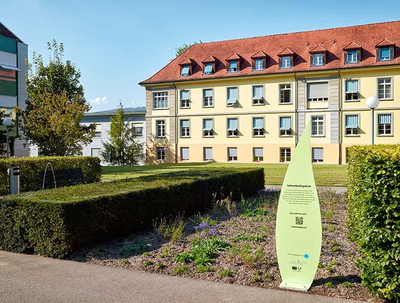 Projekt "Naturmodule" > Schaugärten in > Aarau, Kantonsspital-Park > Aarau, Naturama > Birr, Neuhof > Küttigen >