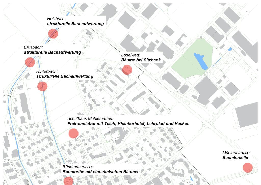 Pilotprojekt "Natur im Siedlungsraum" in Villmergen > umgesetzte Massnahmen >