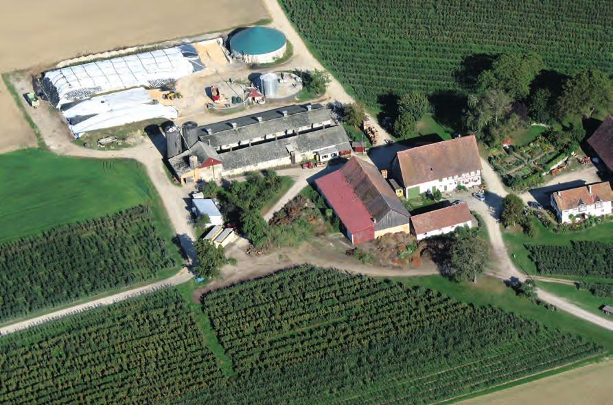 Biogasanlage Hof Schönbuch Auf Hof Schönbuch bei Überlingen hat solarcomplex 2005 die erste