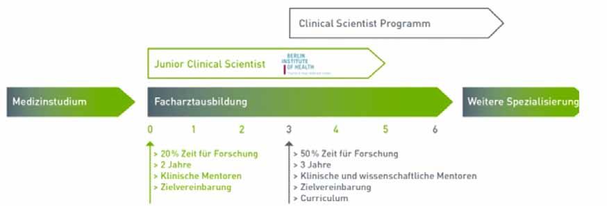 Abb. 8: Ablauf der strukturierten Weiterbildung an der Charité/BIH Die Charité ist in der glücklichen Situation, mit dem Berlin Institute of Health (BIH) ein solches Programm auflegen zu können,