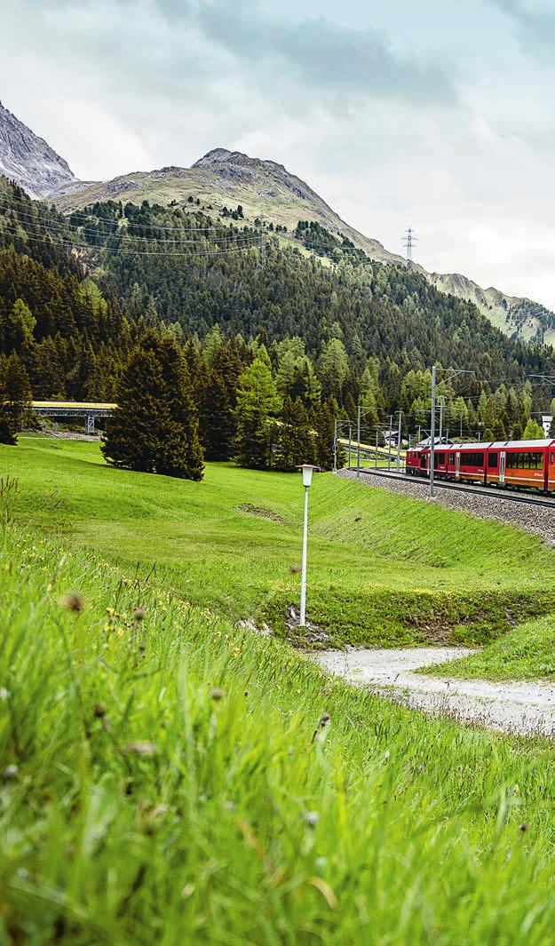 282 Personen- und Panoramawagen