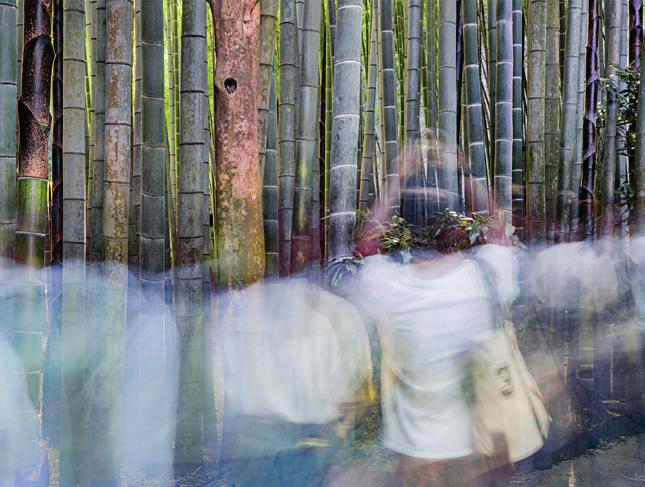 André Wagner: bamboo forest and people, chromaluxe print, 108 x 144 cm, 2016 Japan ANDRÉ WAGNER MOVEMENT IN A CIRCLE FOTOGRAFIE 05.06. 17.09.