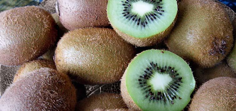 FrüchteProfi Kiwi 47 SOLISSIMO (S) (Actinidia deliciosa) im 4 l