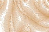 Morphologische Veränderungen im Gewässerbett durch Totholz - diagonal, V-förmig, in Gewässermitte Legende: Totholz (Stamm) Ablagerung von Feinsediment (Sand) Verursachter Kolk